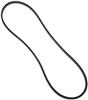 GAT Serpentine Belts