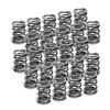 SPT Dual Valve Springs