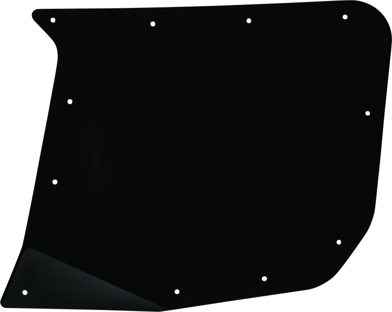 DragonFire Racing Rear Passenger Door Skin For 521065 thumbnail 2