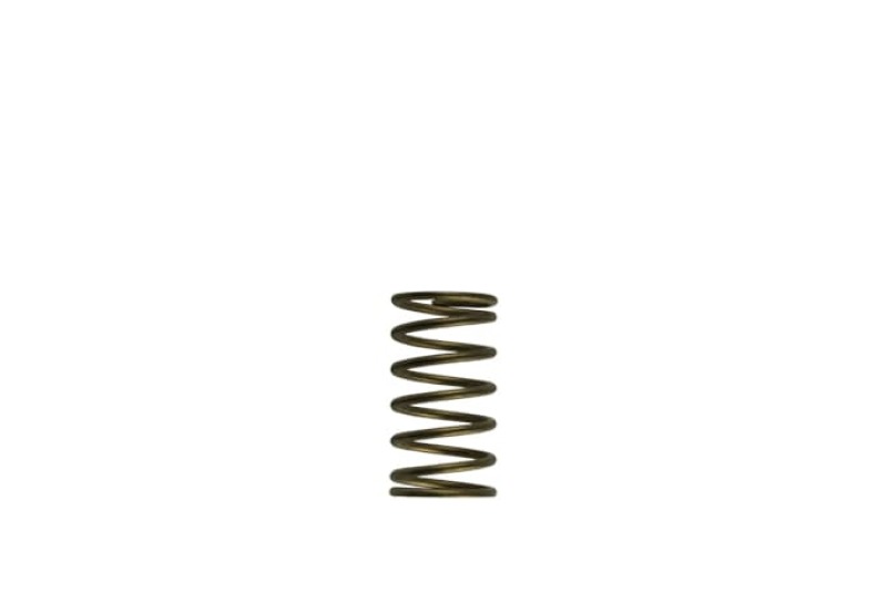 TS Wastegate Springs