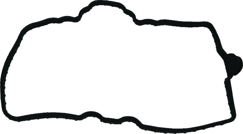 QuadBoss Valve Cover Gasket