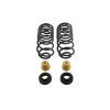 BT Pro Coil Spring Set