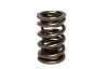 CCA Valve Springs