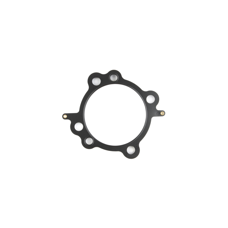 CG Head Gaskets