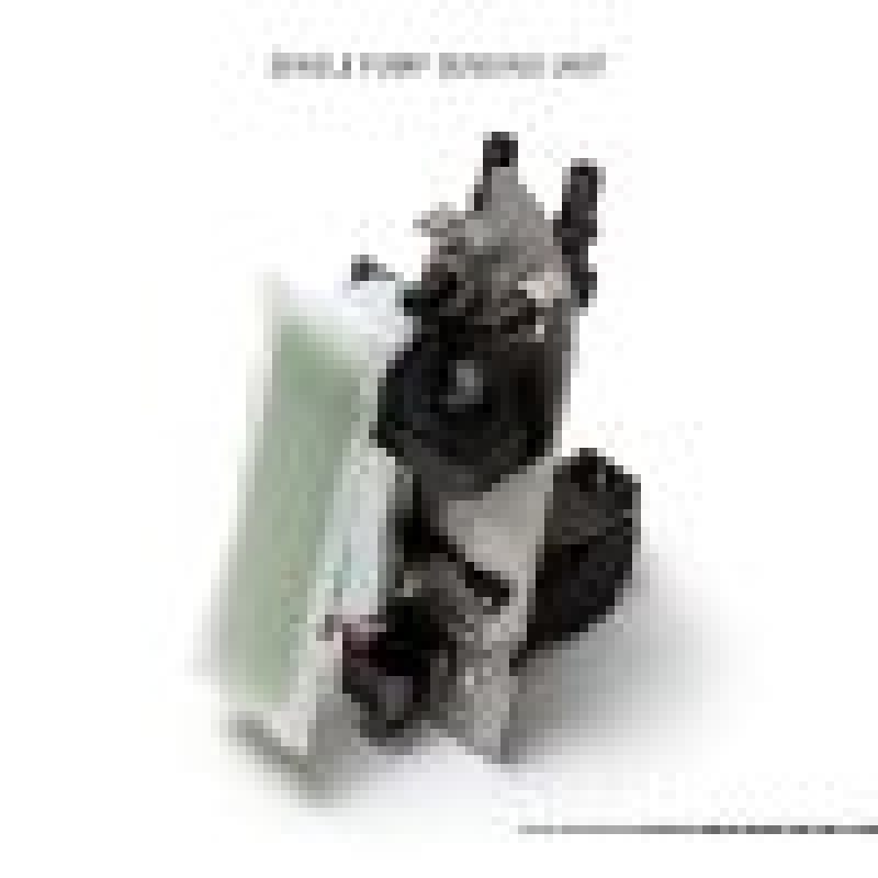 AMS Performance 2009+ Nissan GT-R R35 Omega Fuel System - Dual Pumps
Brushless Fuel Pump