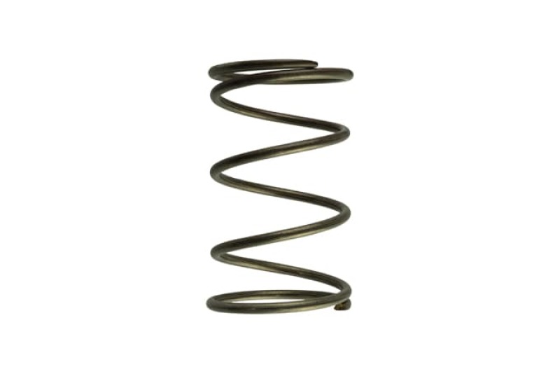 Turbosmart Gen-V WG60 14psi Brown Outer Spring thumbnail 2