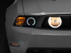 RAX Fog Lights