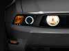 RAX Fog Lights