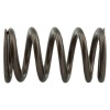 IND PDM Valve Springs