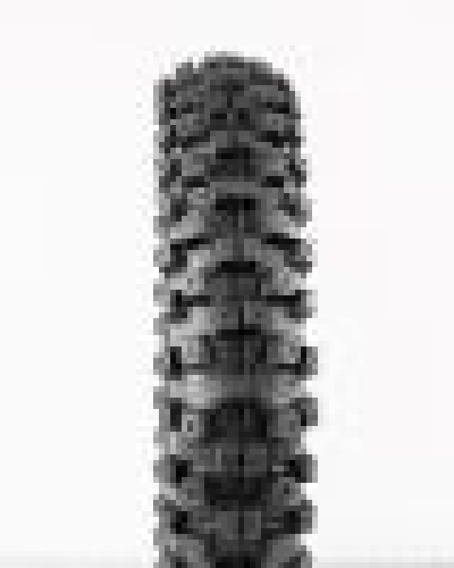 ProTaper PTR MXT 04 Tire