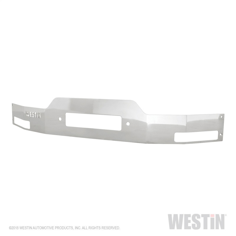 Westin 2009-2017 Ford F-150 MAX Winch Tray Face Plate - SS thumbnail 2