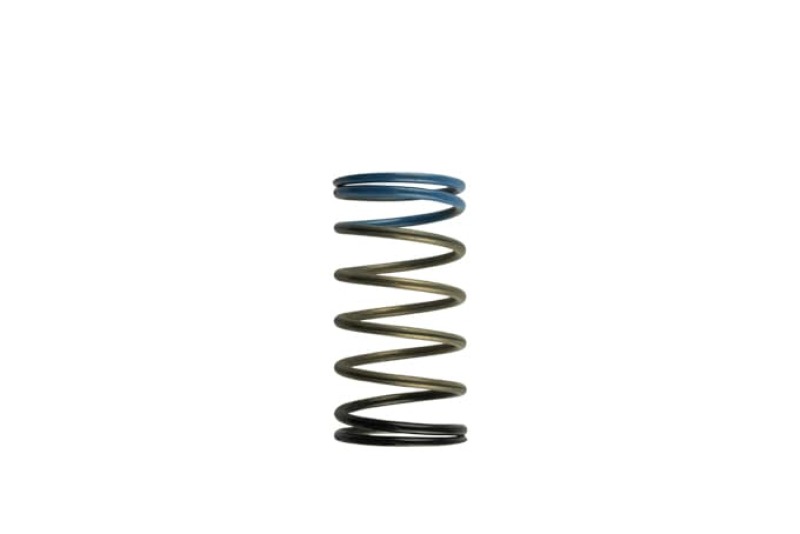 TS Wastegate Springs