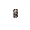CCA Valve Springs