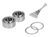 aFe Control PFADT Series Front or Rear Lower Spherical Rebuild 97-13 Chevy Corvette (C5/C6) thumbnail 4