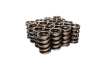 CCA Valve Spring Sets