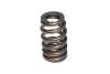 CCA Valve Springs