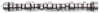 EDE Rollin Thunder Camshaft