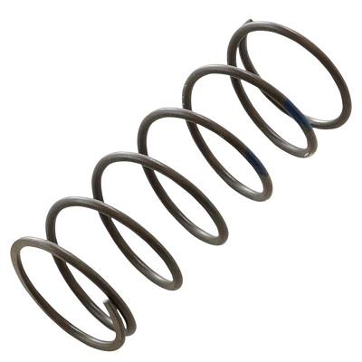 HKS Wastegate Spring