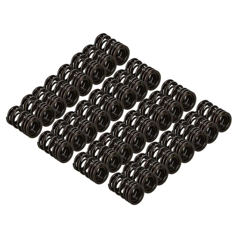 MAN Valve Spring Kits