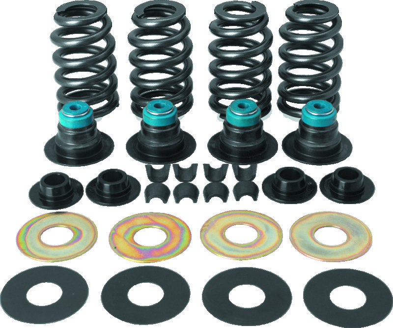 SSC Valve Springs