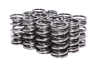 CCA Valve Spring Sets