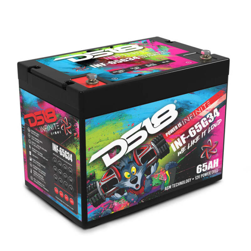 DSE Infinite AGM Power Cell Batteries