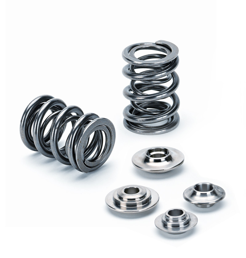 SPT Single Valve Spring Kits