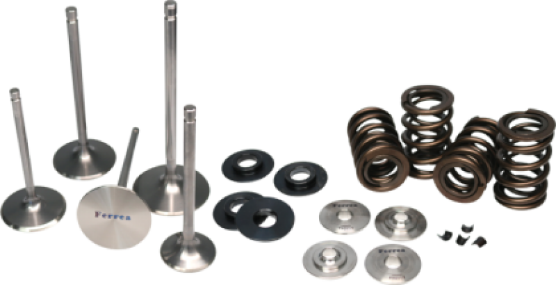 FER Powersports Valve Spring Kits