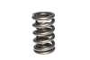 CCA Valve Springs