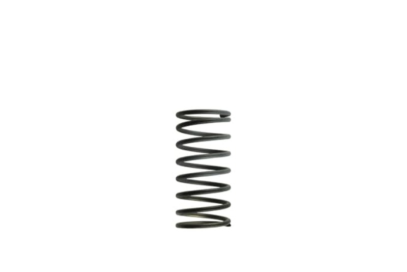 TS Wastegate Springs