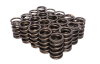 CCA Valve Spring Sets