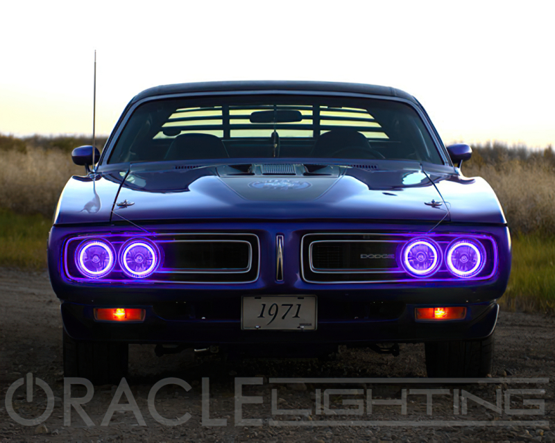 Oracle Pre-Installed Lights 5.75 IN. Sealed Beam - UV/Purple Halo thumbnail 5