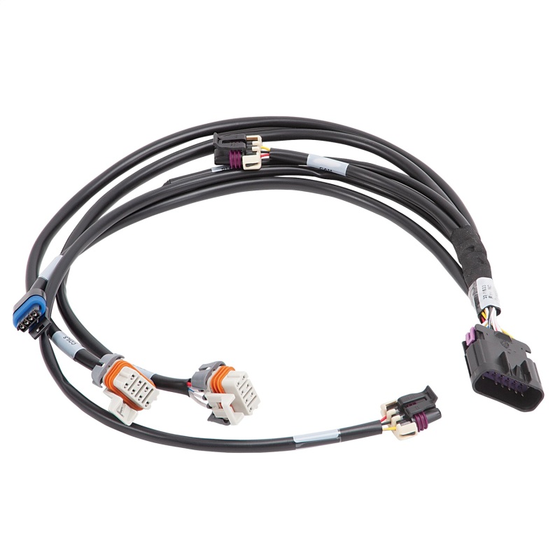EDE Wiring Harness
