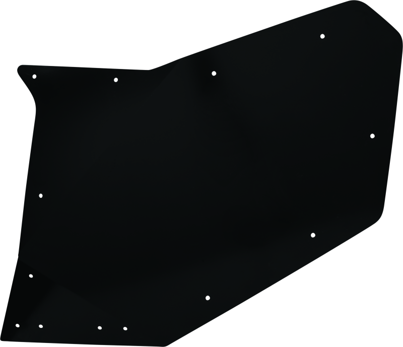 DragonFire Racing Rear Passenger Door Skin For 522137 thumbnail 3