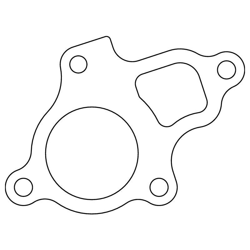 CG Head Gaskets