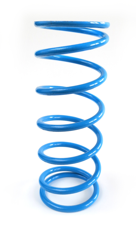 EPI Clutch Springs