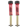 BT Coilover Kit