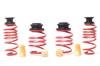 HR VTF Adj Lowering Springs