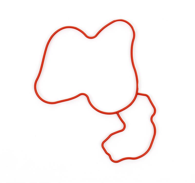 CG Water Pump Repair Kit