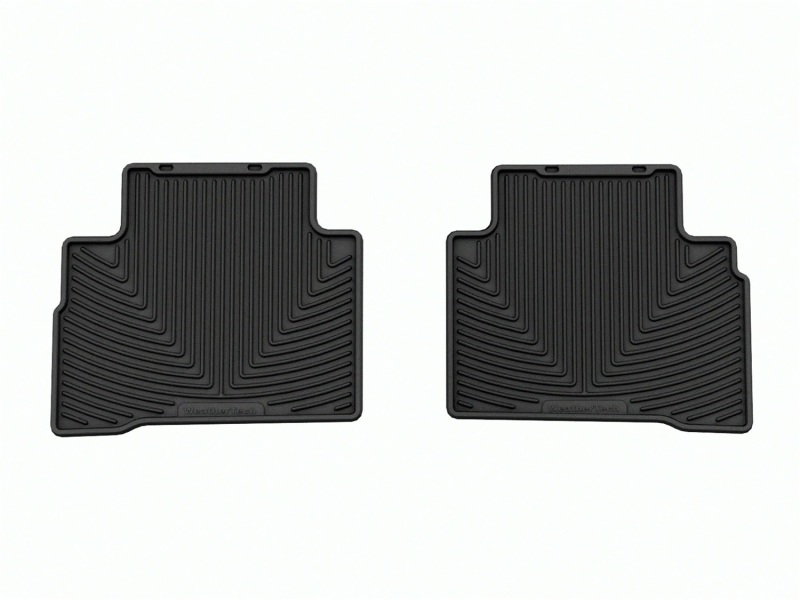 WT Rubber Mats - Rear - Blk