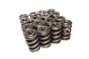 CCA Valve Spring Sets