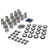 CCA Valve Spring Sets