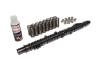 CCA Camshaft Kits