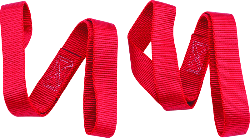 BikeMaster BKM Tie Downs