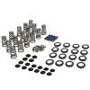 CCA Valve Spring Sets