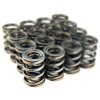 BX Valve Springs