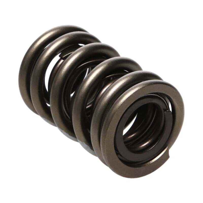MAN Valve Springs