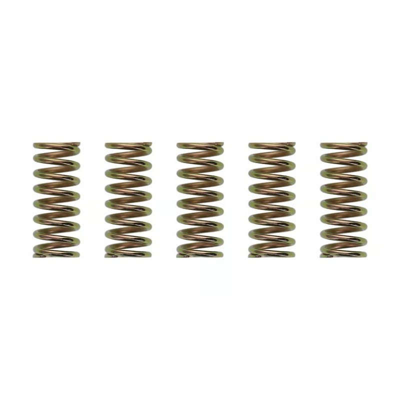 Wiseco XR400/TRX250/ATC250R Clutch Spring Kit