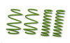 STS Lowering Springs