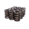 CCA Valve Spring Sets